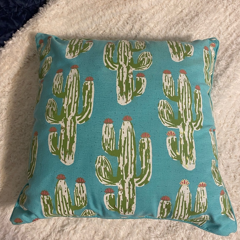Lightly used cactus outdoor pillow